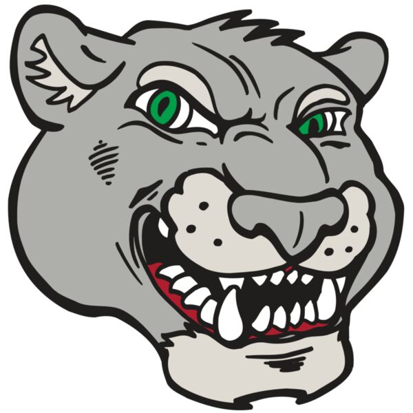 AR5 Cougar 06 RQC Thumbnail