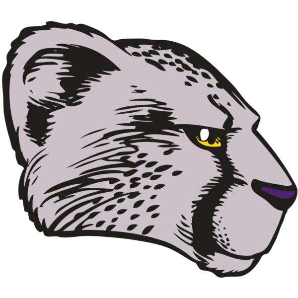 BAW CHEETAH 20 RC Thumbnail