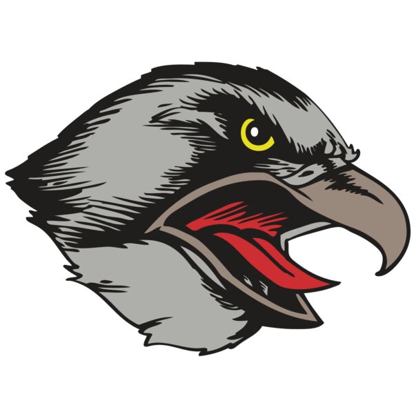 BAW HWK FLCN 13 RC Thumbnail